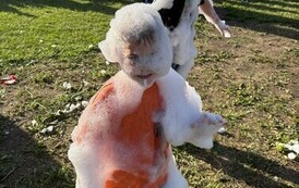 8. Charytatywny Moto Piknik w Łaziskach 7